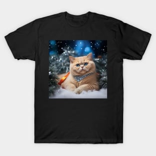 Orange British Shorthair Cat T-Shirt